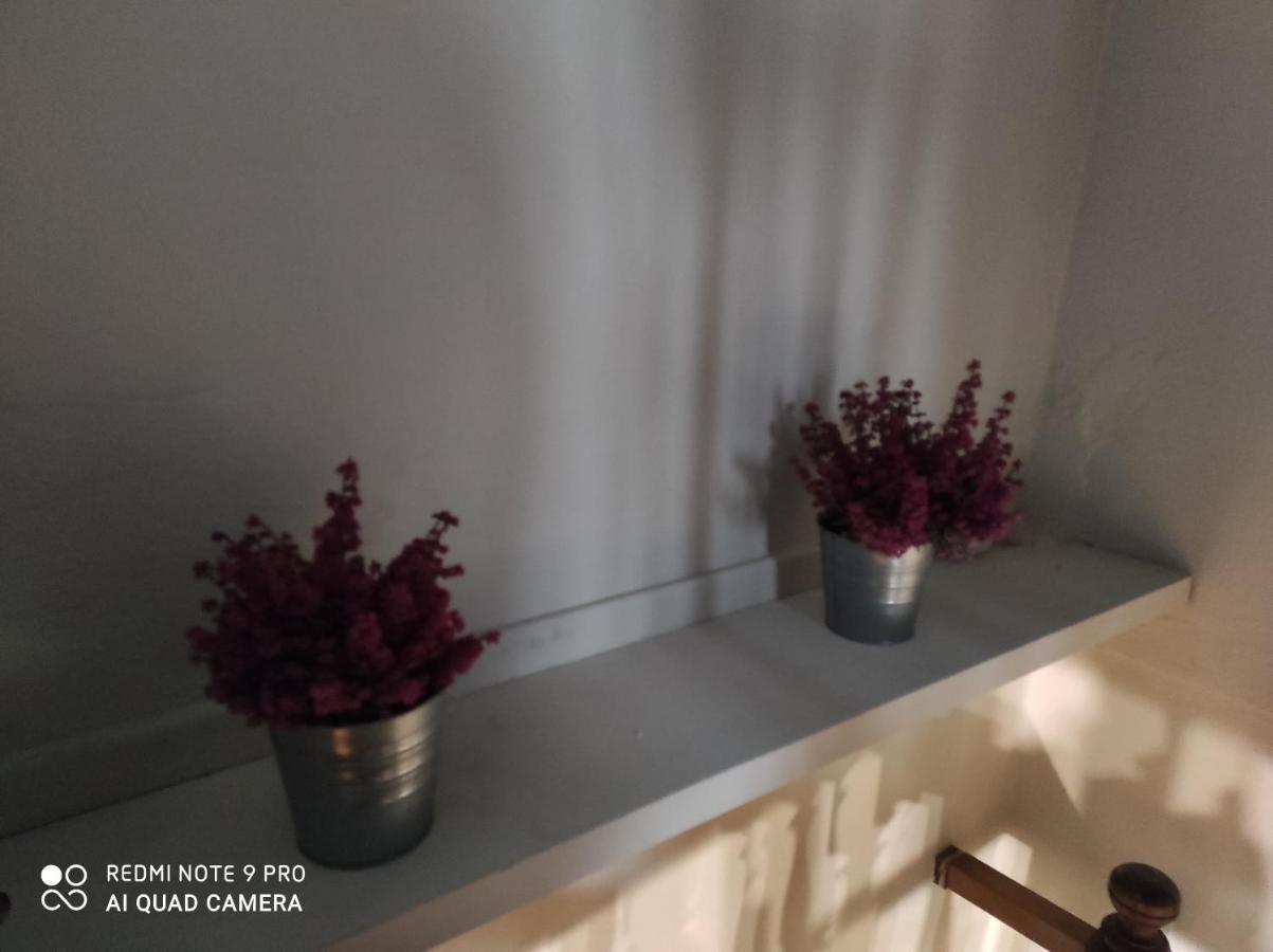 Maison Diletta Holiday home Castelletto sopra Ticino